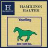 Hamilton Deluxe Horse Halter, 1" Triple Ply Nylon, Yearling or Standard Donkey, 300-500 lbs, Berry Blue view 4