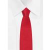 Jacob Alexander Boy's 14" Pretied Solid Color Zipper Tie - Red view 4
