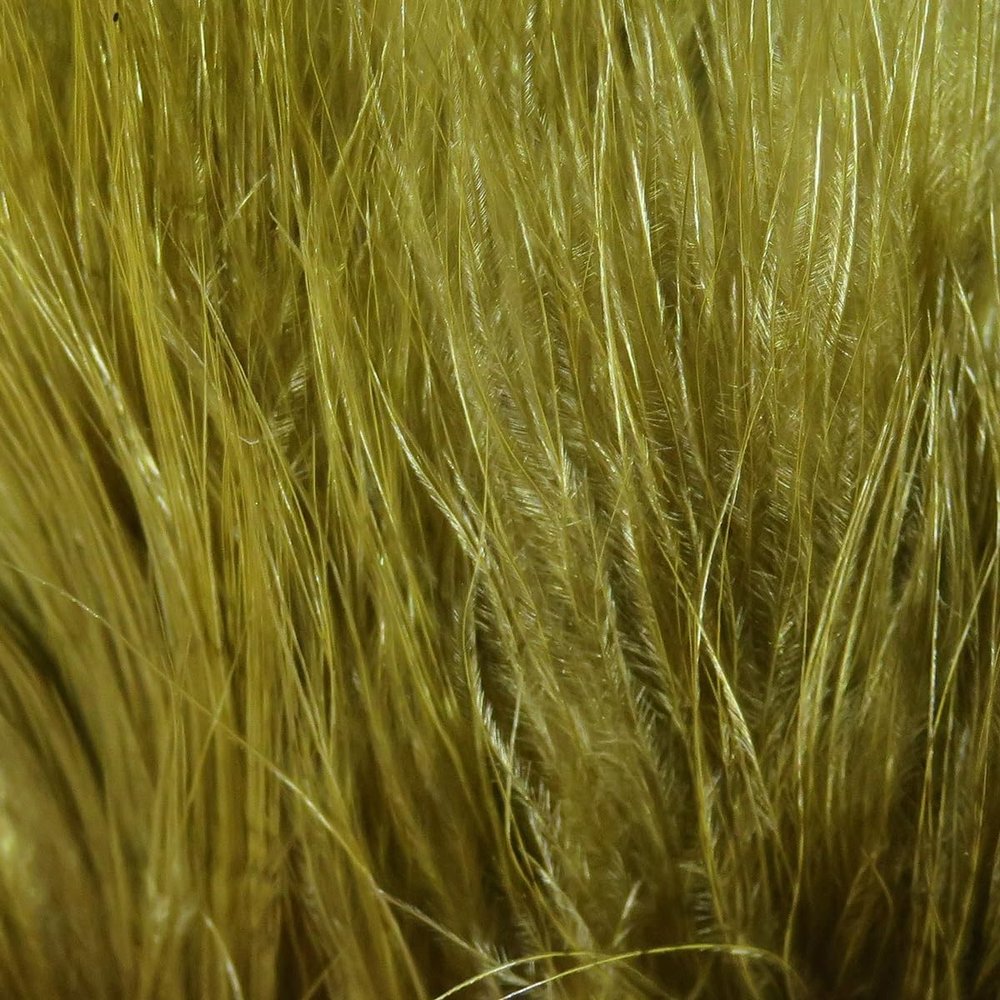 Hareline Fly Tying Marabou Blood Quills - Olive