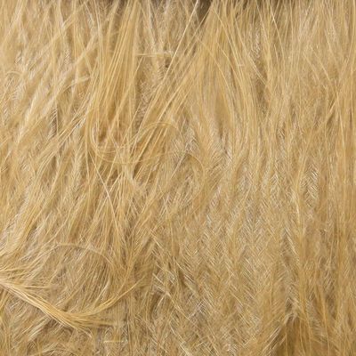 Hareline Fly Tying Marabou Blood Quills - Tan