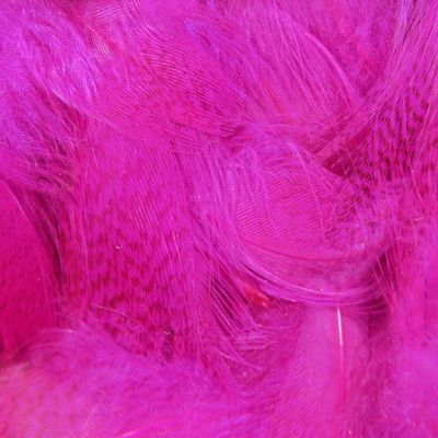 Hareline Fly Tying Mallard Flank - Fl Fuschia