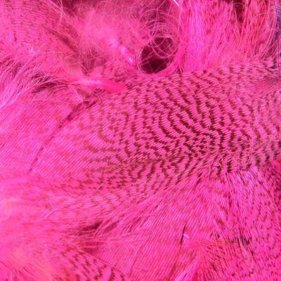 Hareline Fly Tying Mallard Flank - Hot Pink