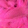 Hareline Fly Tying Mallard Flank - Hot Pink view 1