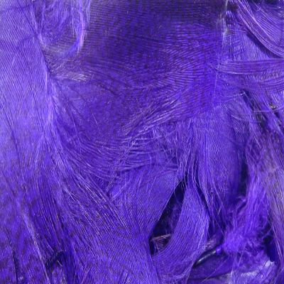 Hareline Fly Tying Mallard Flank - Purple