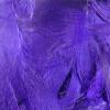 Hareline Fly Tying Mallard Flank - Purple view 1