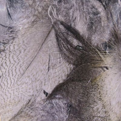 Hareline Fly Tying Mallard Flank - Medium Dun