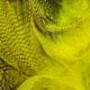 Hareline Fly Tying Mallard Flank - Yellow view 1