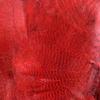 Hareline Fly Tying Mallard Flank - Red view 1