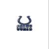 aminco NFL Indianapolis Colts Team Logo Pin, team color (NFL-PN-001-06) view 1