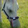 Equilibrium Unisex's Field Relief Muzzle Protector-Multi-Colour, Large view 2