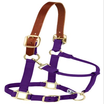 Weaver Leather Nylon Adjustable Breakaway Horse Halter, Yearling, Purple