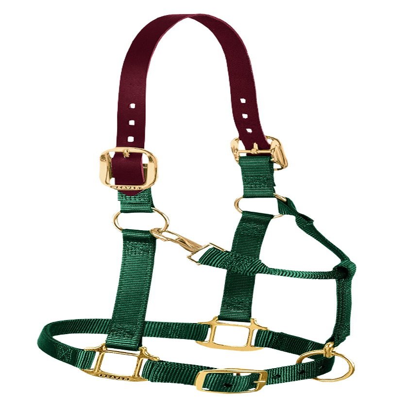 Weaver Leather Nylon Adjustable Breakaway Horse Halter, Small, Hunter Green