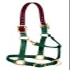 Weaver Leather Nylon Adjustable Breakaway Horse Halter, Small, Hunter Green view 1