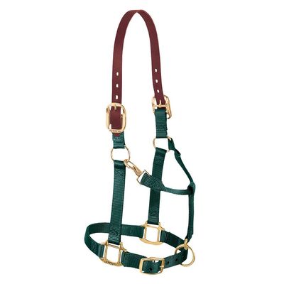 Weaver Leather Nylon Adjustable Breakaway Horse Halter, Large, Hunter Green