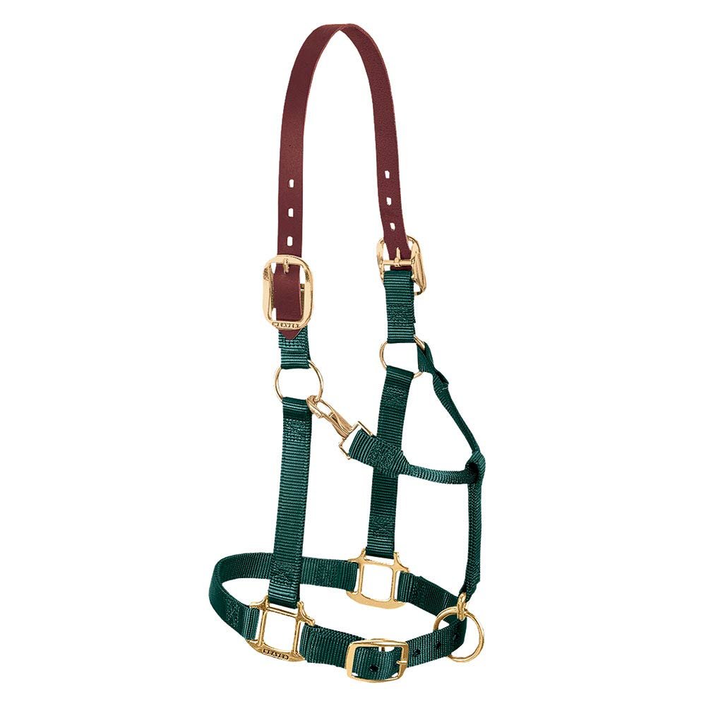 Weaver Leather Nylon Adjustable Breakaway Horse Halter, Large, Hunter Green