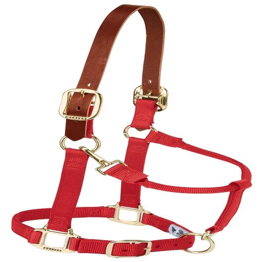 Weaver Leather Nylon Adjustable Breakaway Horse Halter, Average, Red