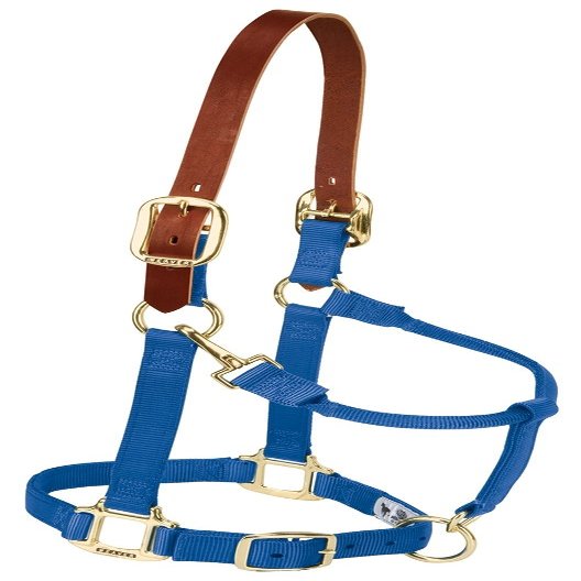 Weaver Leather Nylon Adjustable Breakaway Horse Halter, Yearling, Blue