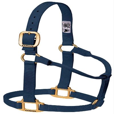 Weaver Leather Nylon Adjustable Breakaway Horse Halter, Yearling, Navy