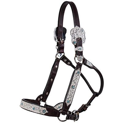 Billy Royal Fort Worth Supreme Show Halter