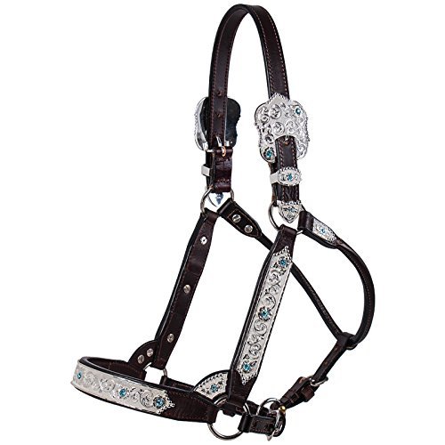 Billy Royal Fort Worth Supreme Show Halter