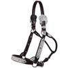 Billy Royal Fort Worth Supreme Show Halter view 1