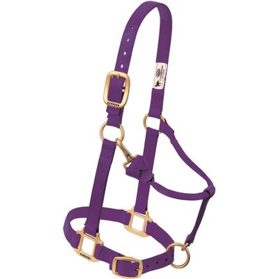 Weaver Equine Original Adjustable Chin and Throat Snap Halter, 1", Large Horse