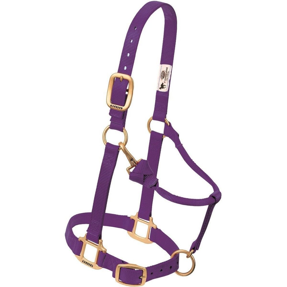Weaver Equine Original Adjustable Chin and Throat Snap Halter, 1", Large Horse