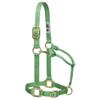 Weaver Equine Original Adjustable Chin and Throat Snap Halter, 1", Large Horse view 3