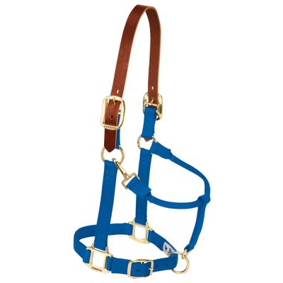 Weaver Leather Adjustable Breakaway Nylon Horse Halter, Blue, Weanling/Pony