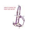 Weaver Leather Adjustable Breakaway Nylon Horse Halter, Blue, Weanling/Pony view 3