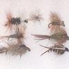 Ultimate Guides 48pc. Fly Collection view 3