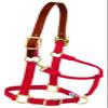 Weaver Leather Nylon Adjustable Breakaway Horse Halter, Small, Red view 1