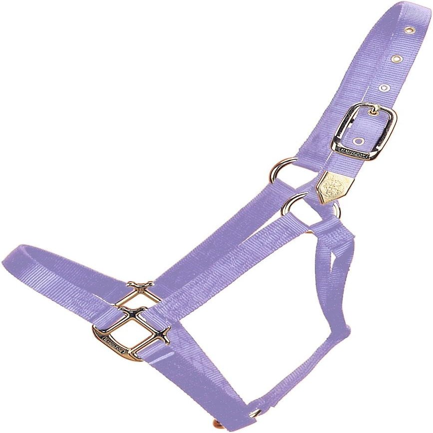 Hamilton Deluxe Horse Halter, 1" Triple Ply Nylon, Large Horse or 2 Year Old Draft, 1100-1600 lbs, Lavender