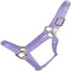Hamilton Deluxe Horse Halter, 1" Triple Ply Nylon, Large Horse or 2 Year Old Draft, 1100-1600 lbs, Lavender view 1