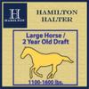 Hamilton Deluxe Horse Halter, 1" Triple Ply Nylon, Large Horse or 2 Year Old Draft, 1100-1600 lbs, Lavender view 4