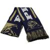 FOCO Pittsburgh 2011 Team Stripe Scarf view 1