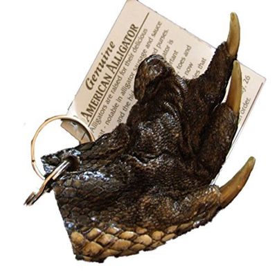 Alligator Claw Paw Real Gator Key Ring Magic Voodoo New Orleans Bayou