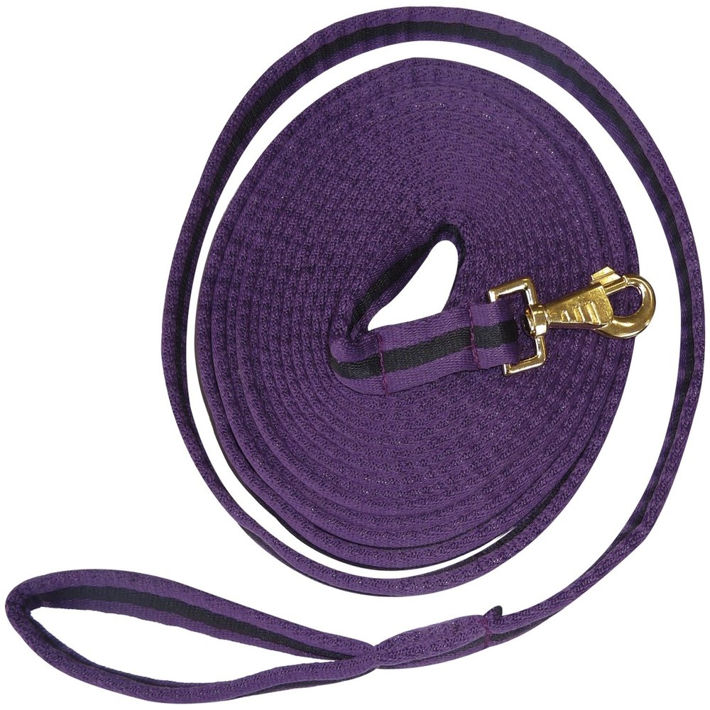 EKKIA 520108152 520108152 Equestrian Rein, Black Padded Lunging REIN PURP/Black