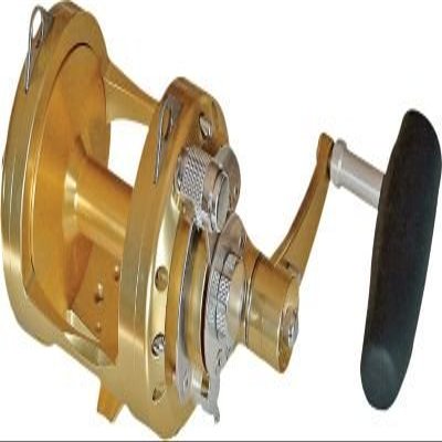 Avet EXW30/2 Lever Drag Conventional Reel (Gold)