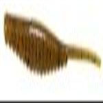 Gambler Shakey Shad 4" (Green Pumpkin)
