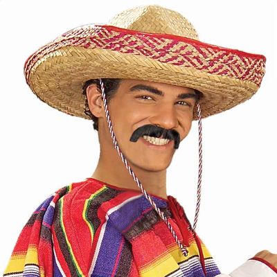 Forum Novelties Men's Handmade Pancho Villa Mustache, Gray, One Size