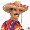 Forum Novelties Men's Handmade Pancho Villa Mustache, Gray, One Size view 1