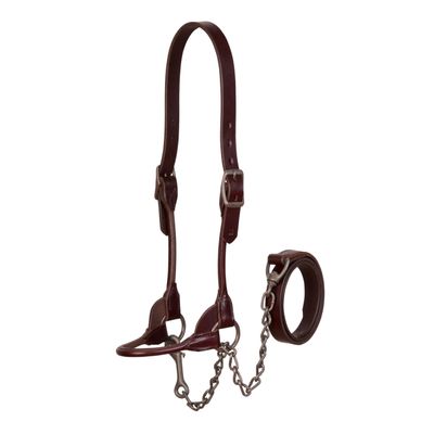Weaver Livestock Leather Bombshell Show Cattle Halter, Adjustable, Modern Style Cow Calf Halter, Livestock Handling Equipment for Showing, Brown