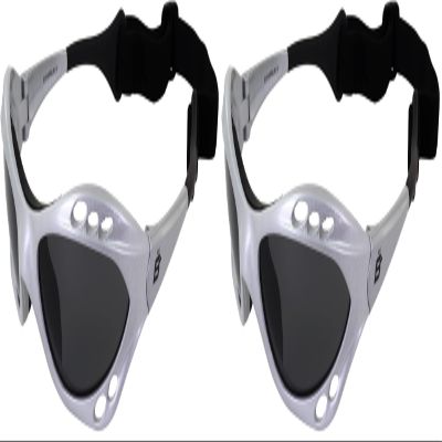 Birdz Seahawk with Silver Frame