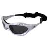 Birdz Seahawk with Silver Frame view 2