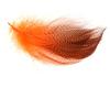 OFT Feather Gutwall Frank 089 Olive view 1