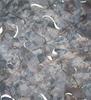 Commercial Camo Net Blind Ground Cover 10' x 10' Army Digital ACU view 3