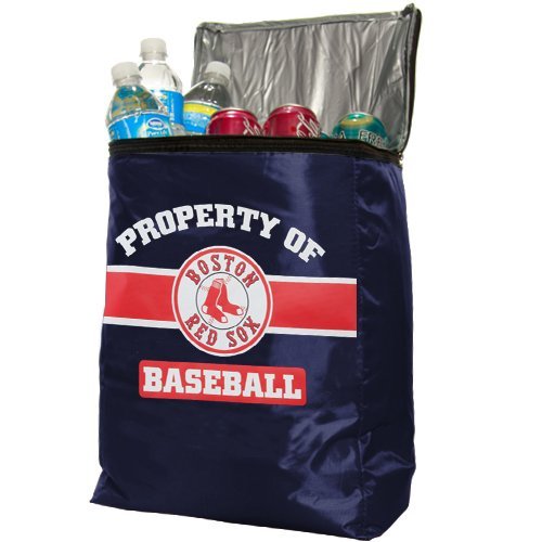 FOCO Boston Red Sox Insulated Backpack