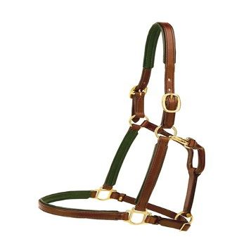 Leather 3/4 Padded Halter w/Brass Hardware Cob Br