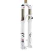 RockShox SID RCT3 - Dual Air 100mm 29-Inch 9mm 1-1/8-Inch Disc (White) view 1